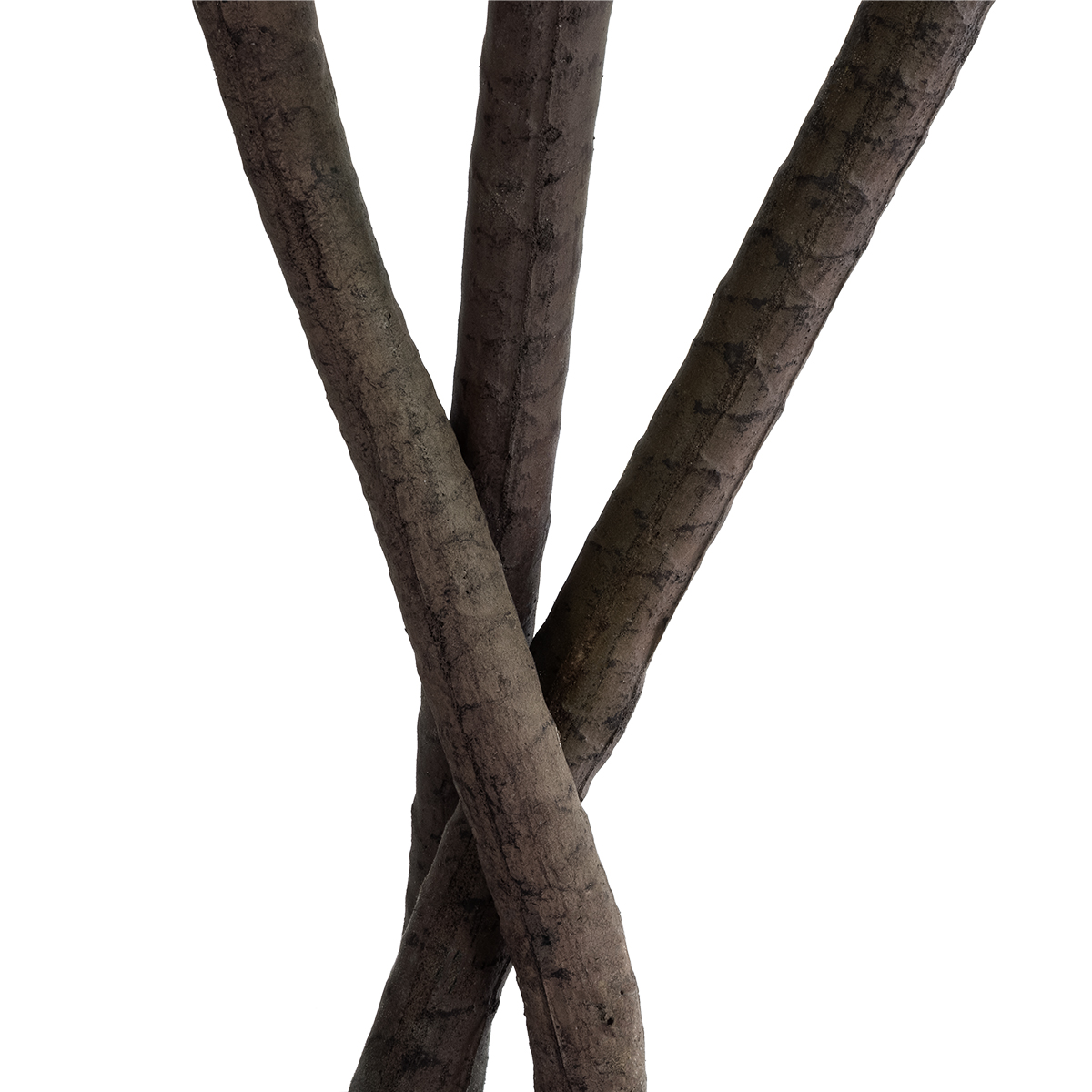 GloboStar® Artificial Garden DRAGON BLOOD TREE 20969 - Τεχνητό Διακοσμητικό Φυτό Δράκαινα Φ100 x Υ140cm 5 GloboStar® Artificial Garden DRAGON BLOOD TREE 20969 - Τεχνητό Διακοσμητικό Φυτό Δράκαινα Φ100 x Υ140cm - Image 3