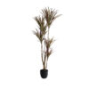 GloboStar® Artificial Garden DRAGON BLOOD TREE 20970 - Τεχνητό Διακοσμητικό Φυτό Δράκαινα Φ60 x Υ140cm 1 GloboStar® GloboStar® Artificial Garden DRAGON BLOOD TREE 20970 - Τεχνητό Διακοσμητικό Φυτό Δράκαινα Φ60 x Υ140cm