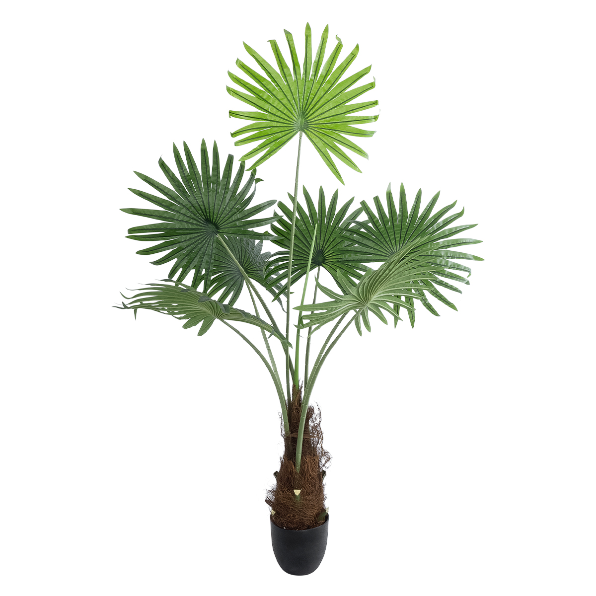 GloboStar® Artificial Garden SERENOA PALM PLANT 20971 Διακοσμητικό Φυτό Φοίνικα Σερενόα Φ60 x Υ140cm 3 GloboStar® GloboStar® Artificial Garden SERENOA PALM PLANT 20971 Διακοσμητικό Φυτό Φοίνικα Σερενόα Φ60 x Υ140cm