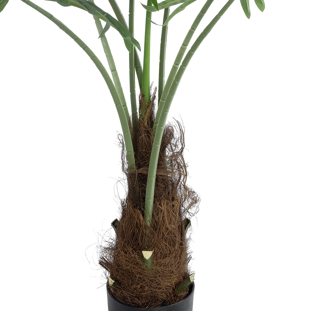 GloboStar® Artificial Garden SERENOA PALM PLANT 20971 Διακοσμητικό Φυτό Φοίνικα Σερενόα Φ60 x Υ140cm 4 GloboStar® Artificial Garden SERENOA PALM PLANT 20971 Διακοσμητικό Φυτό Φοίνικα Σερενόα Φ60 x Υ140cm - Image 2