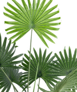 GloboStar® Artificial Garden SERENOA PALM PLANT 20971 Διακοσμητικό Φυτό Φοίνικα Σερενόα Φ60 x Υ140cm 10 20971 4