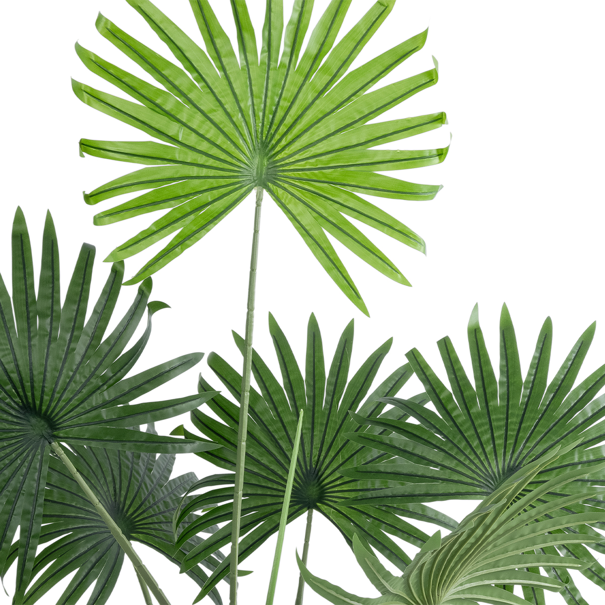 GloboStar® Artificial Garden SERENOA PALM PLANT 20971 Διακοσμητικό Φυτό Φοίνικα Σερενόα Φ60 x Υ140cm 5 GloboStar® Artificial Garden SERENOA PALM PLANT 20971 Διακοσμητικό Φυτό Φοίνικα Σερενόα Φ60 x Υ140cm - Image 3