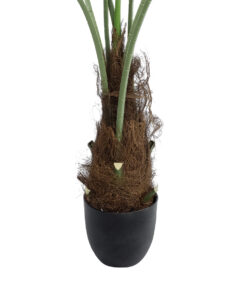 GloboStar® Artificial Garden SERENOA PALM PLANT 20971 Διακοσμητικό Φυτό Φοίνικα Σερενόα Φ60 x Υ140cm 11 20971 5