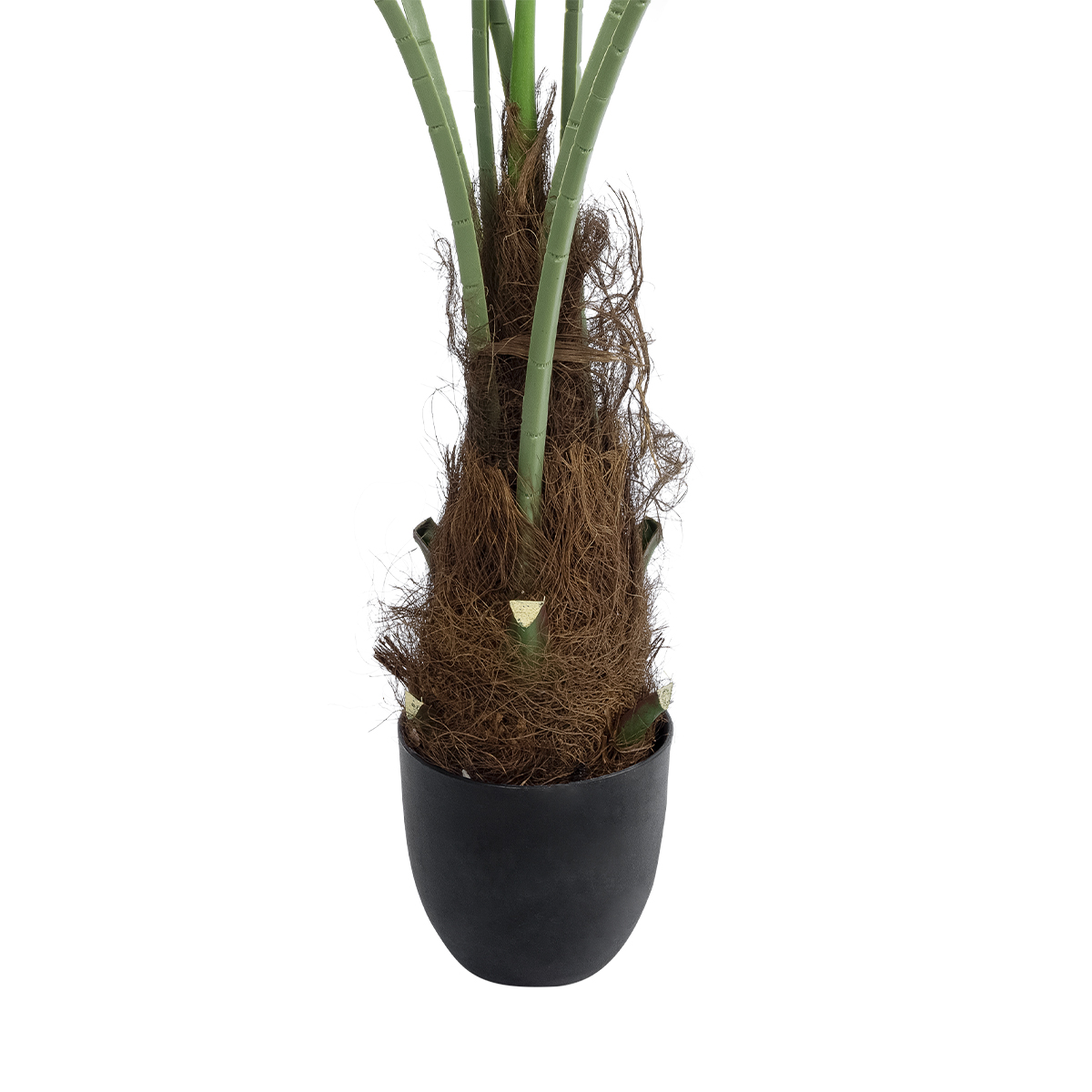 GloboStar® Artificial Garden SERENOA PALM PLANT 20971 Διακοσμητικό Φυτό Φοίνικα Σερενόα Φ60 x Υ140cm 6 GloboStar® Artificial Garden SERENOA PALM PLANT 20971 Διακοσμητικό Φυτό Φοίνικα Σερενόα Φ60 x Υ140cm - Image 4