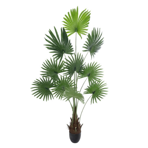 GloboStar® GloboStar® Artificial Garden SERENOA PALM PLANT 20972 Διακοσμητικό Φυτό Φοίνικα Σερενόα Φ103 x Υ180cm