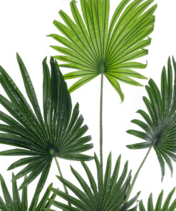 Alternative view of GloboStar® Artificial Garden SERENOA PALM PLANT 20972 Διακοσμητικό Φυτό Φοίνικα Σερενόα Φ103 x Υ180cm