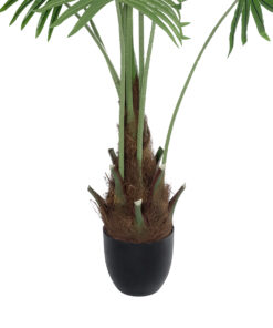 GloboStar® Artificial Garden SERENOA PALM PLANT 20972 Διακοσμητικό Φυτό Φοίνικα Σερενόα Φ103 x Υ180cm 11 20972 5