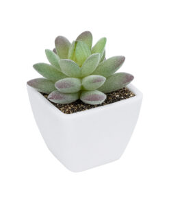 GloboStar® GloboStar® Artificial Garden  SUCCULENT SEDEVERIA POTTED PLANT 20975 Διακοσμητικό Φυτό Φοίνικα Σερενόα Φ7 x Υ8cm