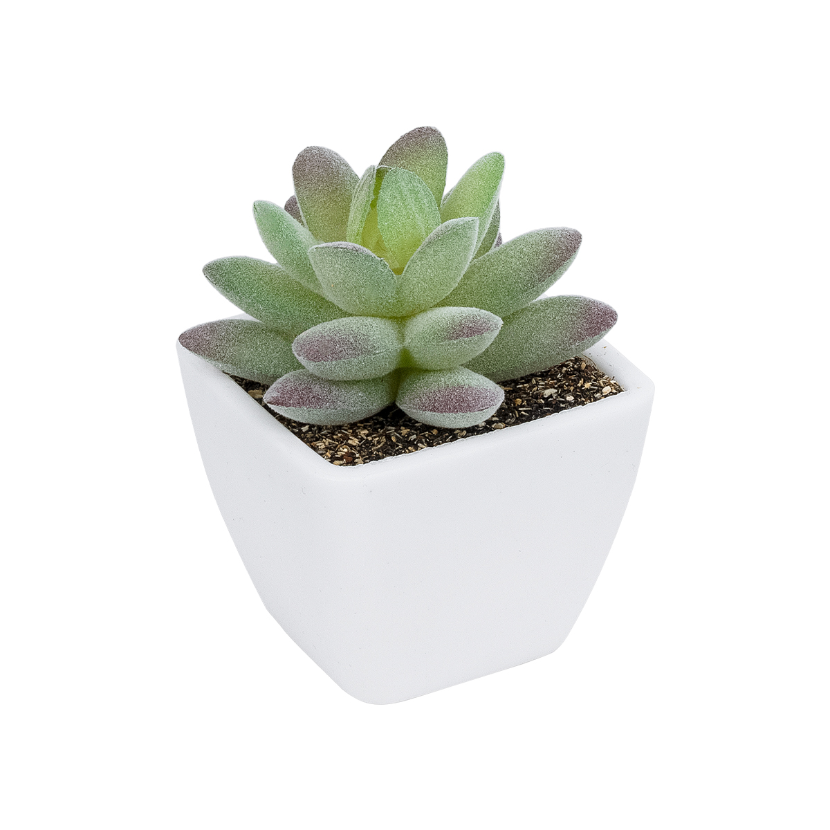 GloboStar® Artificial Garden SUCCULENT SEDEVERIA POTTED PLANT 20975 Διακοσμητικό Φυτό Φοίνικα Σερενόα Φ7 x Υ8cm 3 GloboStar® GloboStar® Artificial Garden SUCCULENT SEDEVERIA POTTED PLANT 20975 Διακοσμητικό Φυτό Φοίνικα Σερενόα Φ7 x Υ8cm