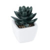 GloboStar® GloboStar® Artificial Garden SUCCULENT SEDEVERIA PLANT 20977 Διακοσμητικό Φυτό Παχύφυτο Σεντεβέρια Φ6 x Υ9cm