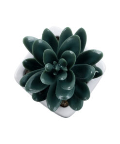 Alternative view of GloboStar® Artificial Garden SUCCULENT SEDEVERIA PLANT 20977 Διακοσμητικό Φυτό Παχύφυτο Σεντεβέρια Φ6 x Υ9cm