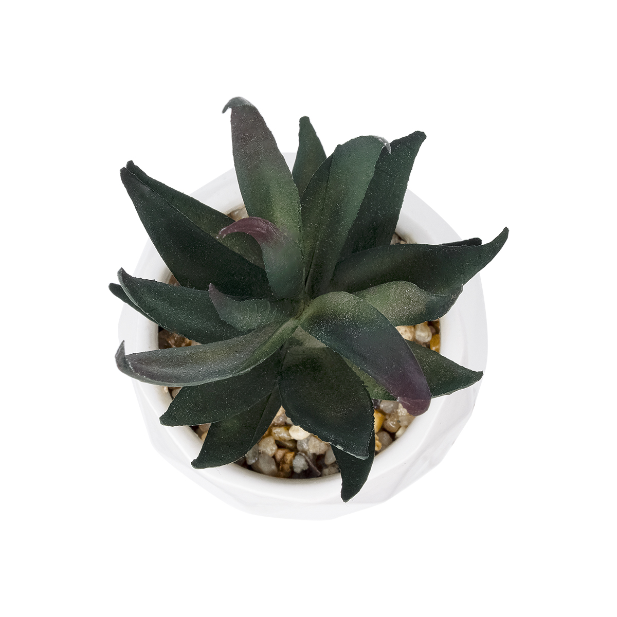 GloboStar® Artificial Garden SUCCULENT ALOE POTTED PLANT 20978 Διακοσμητικό Φυτό Αλόης Φ7 x Υ14cm 4 GloboStar® Artificial Garden SUCCULENT ALOE POTTED PLANT 20978 Διακοσμητικό Φυτό Αλόης Φ7 x Υ14cm - Image 2