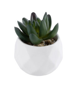 GloboStar® GloboStar® Artificial Garden SUCCULENT CRASSULA 20979 Διακοσμητικό Φυτό Παχύφυτο Κράσουλα Υ9cm
