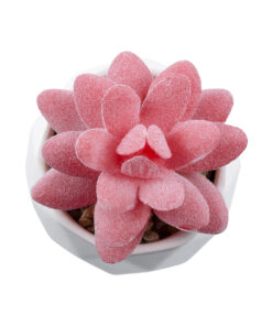 Alternative view of GloboStar® Artificial Garden SUCCULENT SEDEVERIA 20981 Διακοσμητικό Φυτό Παχύφυτο Σεντεβέρια Υ8cm