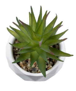 GloboStar® Artificial Garden SUCCULENT ALOE 20982 Διακοσμητικό Φυτό Παχύφυτο Αλόη Υ11cm 7 20982 3