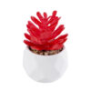 GloboStar® GloboStar® Artificial Garden SUCCULENT CRASSULA 20985 Διακοσμητικό Φυτό Παχύφυτο Κράσουλα Υ10cm