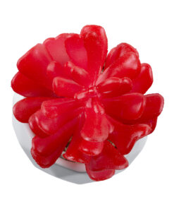 Alternative view of GloboStar® Artificial Garden SUCCULENT CRASSULA 20985 Διακοσμητικό Φυτό Παχύφυτο Κράσουλα Υ10cm