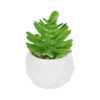 GloboStar® GloboStar® Artificial Garden SUCCULENT CRASSULA POTTED PLANT 20986 Διακοσμητικό Φυτό Κρασούλα Φ6 x Υ10cm