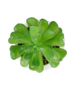 Alternative view of GloboStar® Artificial Garden SUCCULENT CRASSULA POTTED PLANT 20986 Διακοσμητικό Φυτό Κρασούλα Φ6 x Υ10cm