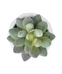 Alternative view of GloboStar® Artificial Garden SUCCULENT SEDEVERIA POTTED PLANT 20987 Διακοσμητικό Φυτό Σεδεβέρια Φ7 x Υ7,5cm