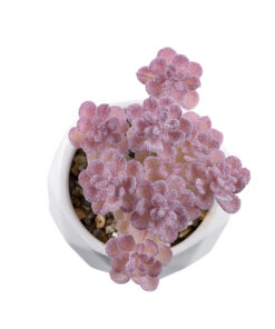 Alternative view of GloboStar® Artificial Garden SUCCULENT SEDUM 20988 Διακοσμητικό Φυτό Παχύφυτο Σέδο Υ10cm