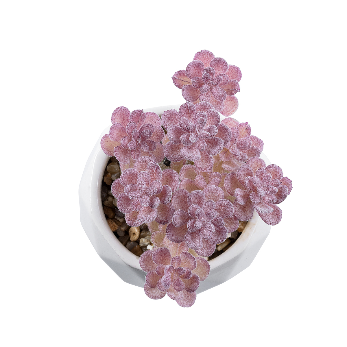 GloboStar® Artificial Garden SUCCULENT SEDUM 20988 Διακοσμητικό Φυτό Παχύφυτο Σέδο Υ10cm 4 GloboStar® Artificial Garden SUCCULENT SEDUM 20988 Διακοσμητικό Φυτό Παχύφυτο Σέδο Υ10cm - Image 2