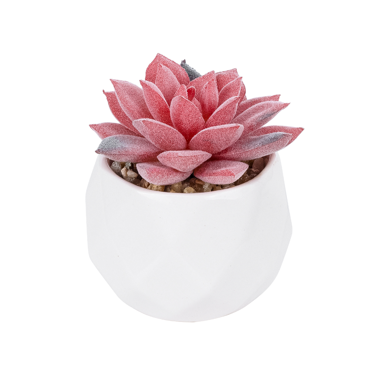 GloboStar® Artificial Garden SUCCULENT SEDEVERIA POTTED PLANT 20989 Διακοσμητικό Φυτό Σεδεβέρια Φ6,5 x Υ8cm 3 5 x Υ8cm