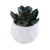 GloboStar® GloboStar® Artificial Garden SUCCULENT ECHEVERIA 20990 Διακοσμητικό Φυτό Παχύφυτο Εχεβέρια Υ8.5cm