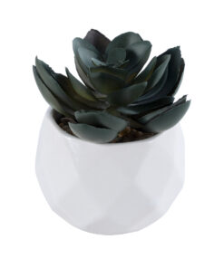 GloboStar® GloboStar® Artificial Garden SUCCULENT ECHEVERIA 20990 Διακοσμητικό Φυτό Παχύφυτο Εχεβέρια Υ8.5cm