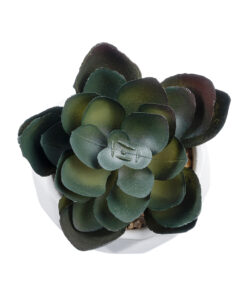 Alternative view of GloboStar® Artificial Garden SUCCULENT ECHEVERIA 20990 Διακοσμητικό Φυτό Παχύφυτο Εχεβέρια Υ8.5cm