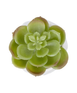 Alternative view of GloboStar® Artificial Garden SUCCULENT ECHEVERIA POTTED PLANT 20991 Διακοσμητικό Φυτό Εχεβέρια Φ6 x Υ8,5cm