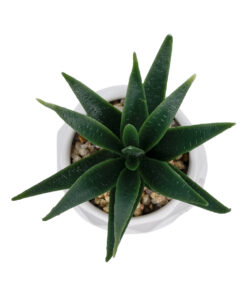 Alternative view of GloboStar® Artificial Garden SUCCULENT ALOE POTTED PLANT 20992 Διακοσμητικό Φυτό Αλόη Φ8 x Υ12cm
