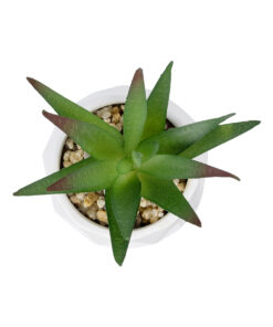 Alternative view of GloboStar® Artificial Garden SUCCULENT ALOE POTTED PLANT 20993 Διακοσμητικό Φυτό Αλόη Φ8 x Υ12cm