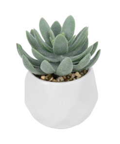 GloboStar® GloboStar® Artificial Garden SUCCULENT SEDEVERIA POTTED PLANT 20998 Διακοσμητικό Φυτό Σεδεβέρια  Φ7 x Υ9cm