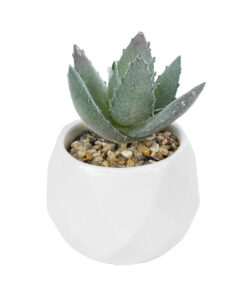 GloboStar® GloboStar® Artificial Garden SUCCULENT ALOE POTTED PLANT 20999 Διακοσμητικό Φυτό Αλόη Φ7 x Υ9cm