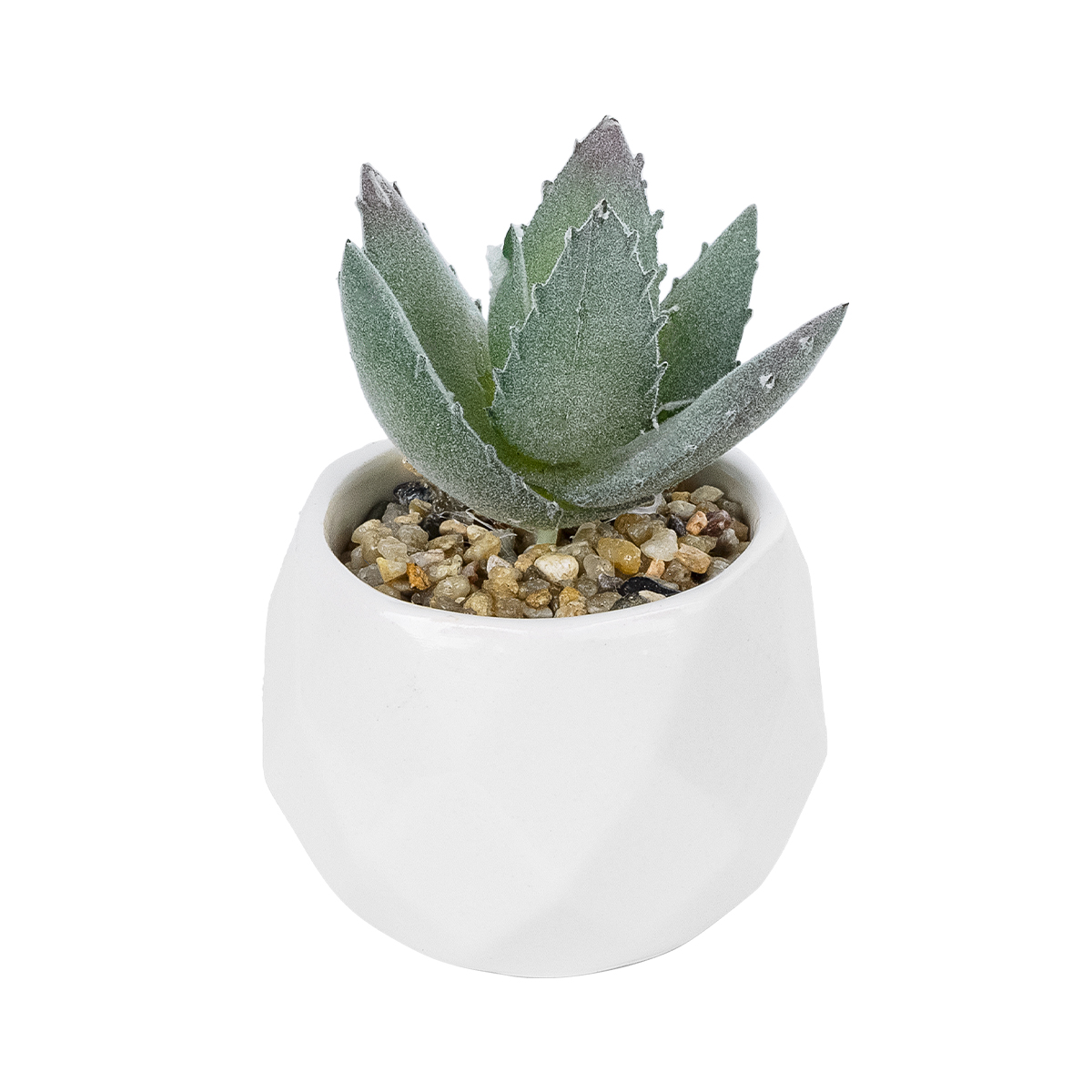 GloboStar® Artificial Garden SUCCULENT ALOE POTTED PLANT 20999 Διακοσμητικό Φυτό Αλόη Φ7 x Υ9cm 3 GloboStar® GloboStar® Artificial Garden SUCCULENT ALOE POTTED PLANT 20999 Διακοσμητικό Φυτό Αλόη Φ7 x Υ9cm