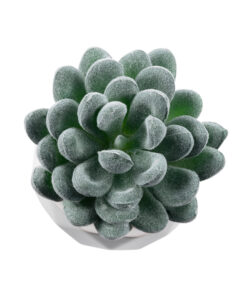 Alternative view of GloboStar® Artificial Garden SUCCULENT SEDEVERIA 21001 Διακοσμητικό Φυτό Παχύφυτο Σεντεβέρια Υ9.5cm