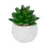 GloboStar® GloboStar® Artificial Garden SUCCULENT SEDEVERIA POTTED PLANT 21002 Διακοσμητικό Φυτό Σεδεβέρια  Φ8 x Υ9cm