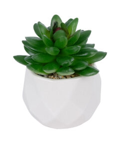 GloboStar® GloboStar® Artificial Garden SUCCULENT SEDEVERIA POTTED PLANT 21002 Διακοσμητικό Φυτό Σεδεβέρια Φ8 x Υ9cm