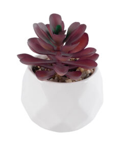 GloboStar® GloboStar® Artificial Garden SUCCULENT CRASSULA 21004 Διακοσμητικό Φυτό Παχύφυτο Κράσουλα Υ9.5cm