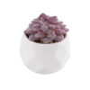 GloboStar® GloboStar® Artificial Garden SUCCULENT SEDEVERIA 21005 Διακοσμητικό Φυτό Παχύφυτο Σεντεβέρια Υ8cm