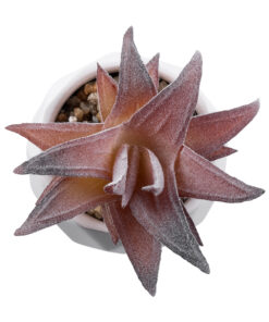 Alternative view of GloboStar® Artificial Garden SUCCULENT ALOE 21006 Διακοσμητικό Φυτό Παχύφυτο Αλόη Υ10cm