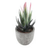GloboStar® GloboStar® Artificial Garden SUCCULENT ALOE 21008 Διακοσμητικό Φυτό Παχύφυτο Αλόη Υ14cm