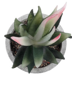 Alternative view of GloboStar® Artificial Garden SUCCULENT ALOE 21008 Διακοσμητικό Φυτό Παχύφυτο Αλόη Υ14cm