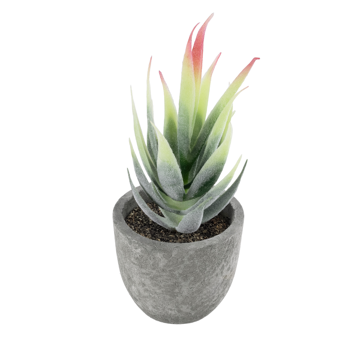 GloboStar® Artificial Garden SUCCULENT ALOE 21009 Διακοσμητικό Φυτό Παχύφυτο Αλόη Υ14cm 3 GloboStar® GloboStar® Artificial Garden SUCCULENT ALOE 21009 Διακοσμητικό Φυτό Παχύφυτο Αλόη Υ14cm