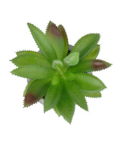 Alternative view of GloboStar® Artificial Garden SUCCULENT ALOE POTTED PLANT 21012 Διακοσμητικό Φυτό Αλόη  Φ9 x Υ13cm