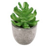 GloboStar® GloboStar® Artificial Garden SUCCULENT CRASSULA 21014 Διακοσμητικό Φυτό Παχύφυτο Κράσουλα Υ11.5cm