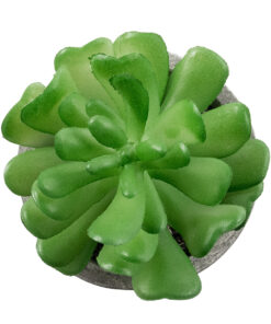Alternative view of GloboStar® Artificial Garden SUCCULENT CRASSULA 21014 Διακοσμητικό Φυτό Παχύφυτο Κράσουλα Υ11.5cm