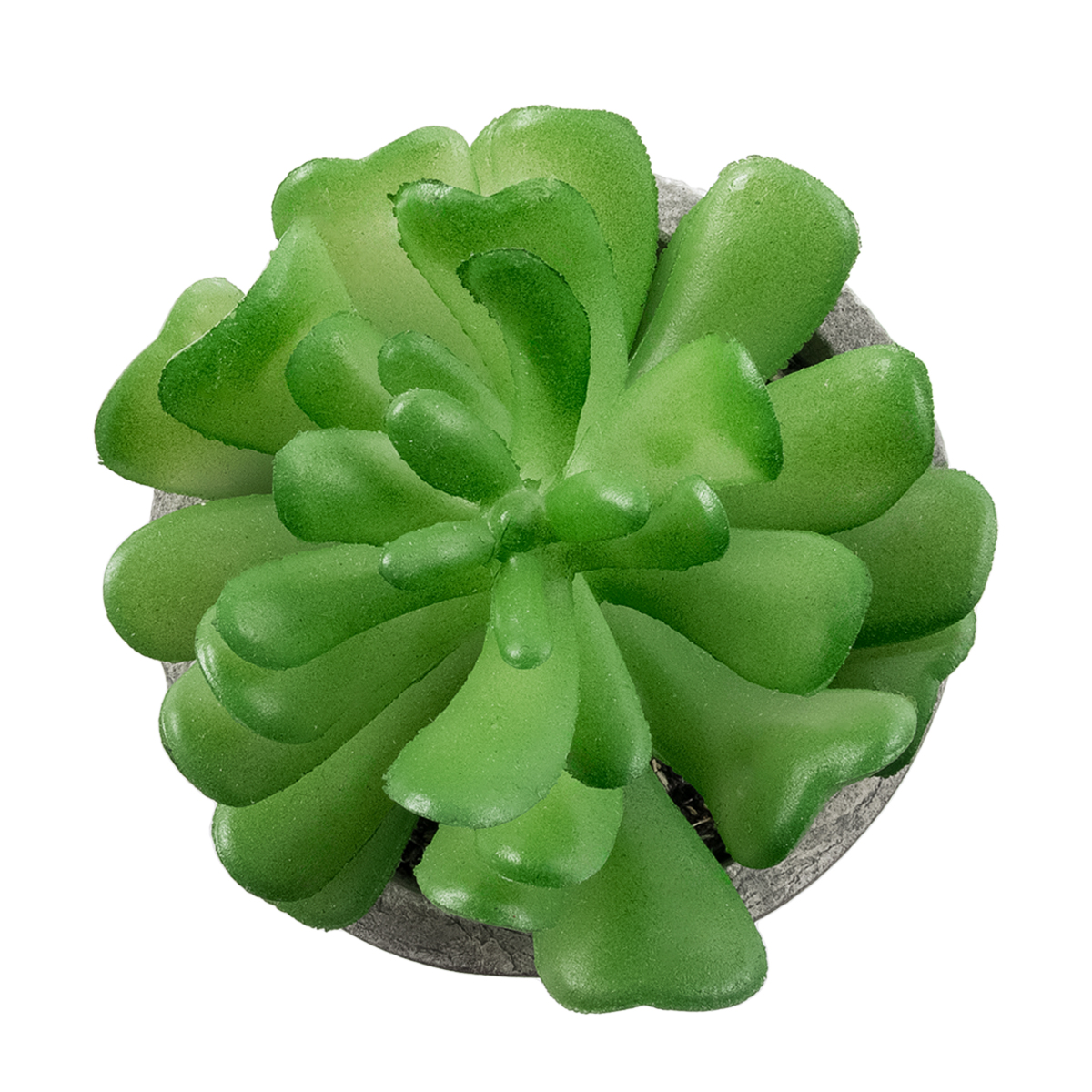 GloboStar® Artificial Garden SUCCULENT CRASSULA 21014 Διακοσμητικό Φυτό Παχύφυτο Κράσουλα Υ11.5cm 4 GloboStar® Artificial Garden SUCCULENT CRASSULA 21014 Διακοσμητικό Φυτό Παχύφυτο Κράσουλα Υ11.5cm - Image 2