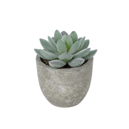 GloboStar® GloboStar® Artificial Garden SUCCULENT SEDEVERIA POTTED PLANT 21016 Διακοσμητικό Φυτό Σεδεβέρια  Φ7 x Υ8cm